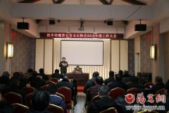 澳门金沙体育投注网址汉中市观赏石宝玉石协会召开2018年度工作